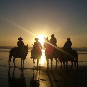 Meet your Posher, Darbi